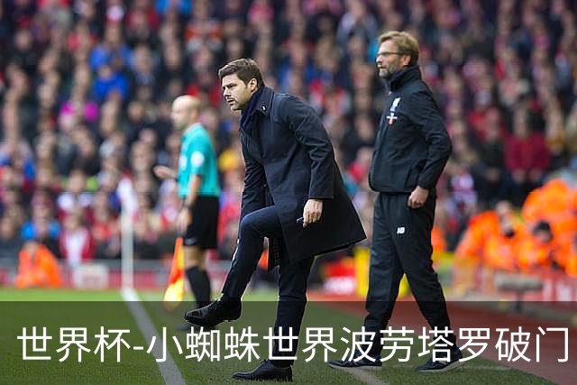世界杯-小蜘蛛世界波劳塔罗破门 阿根廷加时3-1瑞士将战英格兰