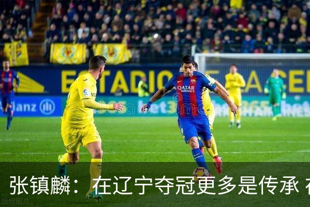 张镇麟：在辽宁夺冠更多是传承 在上海夺冠更像是实现自我价值