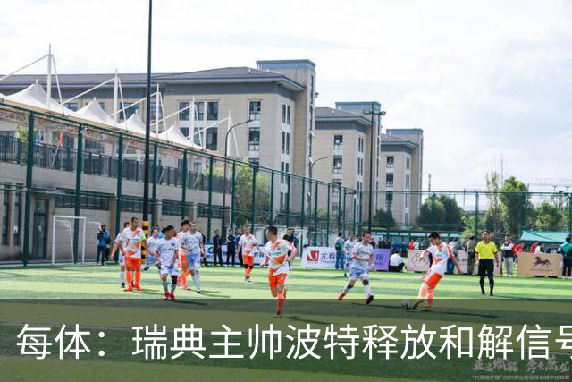 每体：瑞典主帅波特释放和解信号，巴德吉可能重返国家队