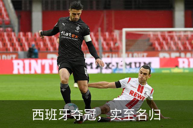 西班牙夺冠，实至名归