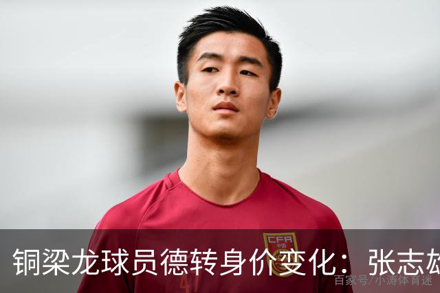 铜梁龙球员德转身价变化：张志雄等11人上升，阿马杜等4人下降