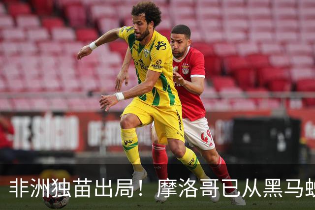 非洲独苗出局！摩洛哥已从黑马蜕变为劲旅 四年后主场见